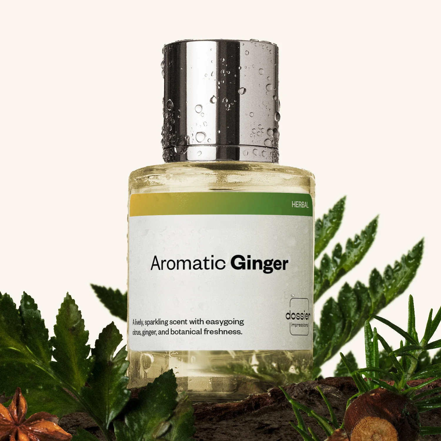 Aromatic Ginger - Image 2