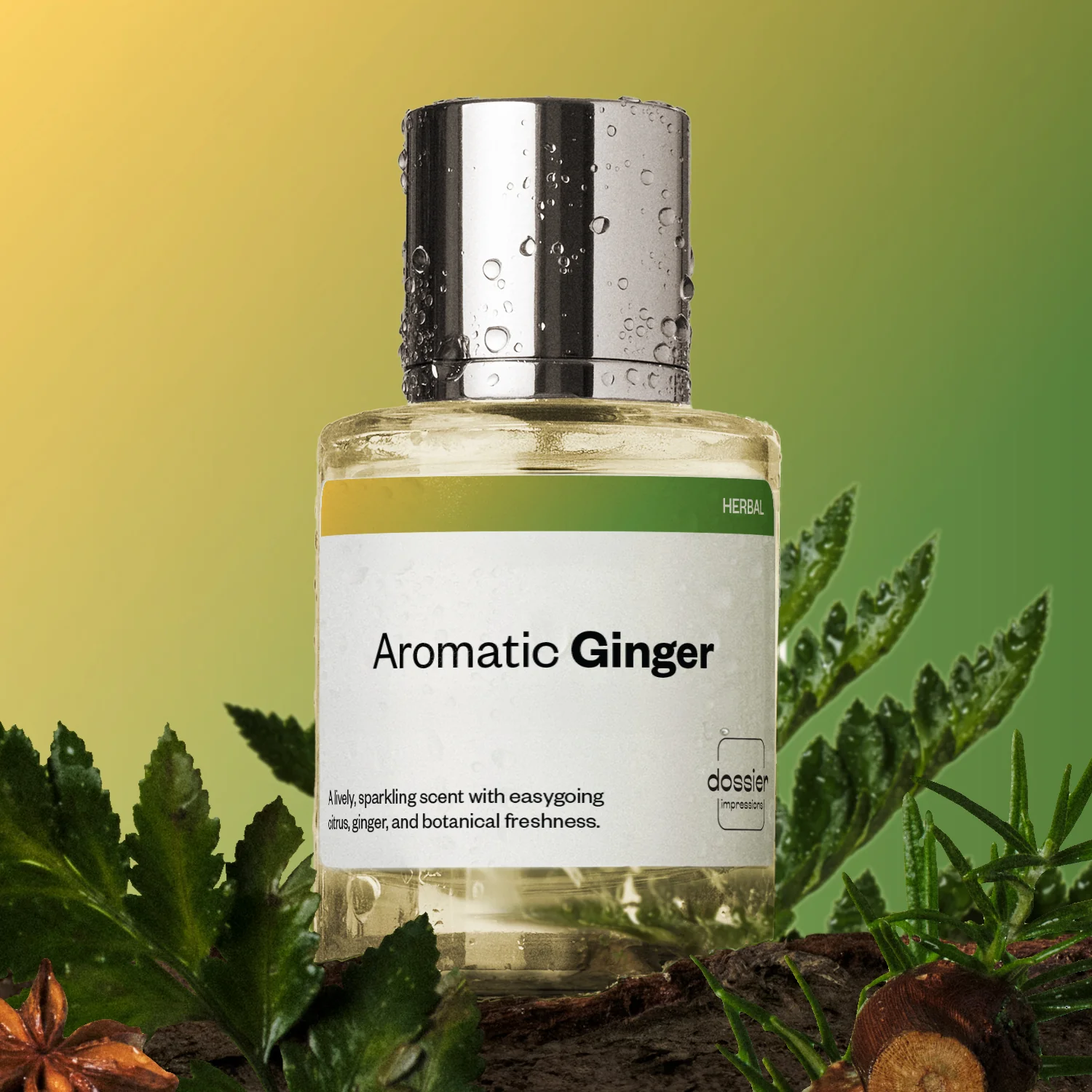 Aromatic Ginger - Image 3