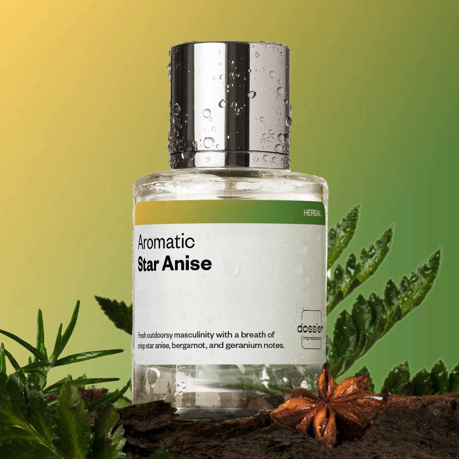 Aromatic Star Anise - Image 3