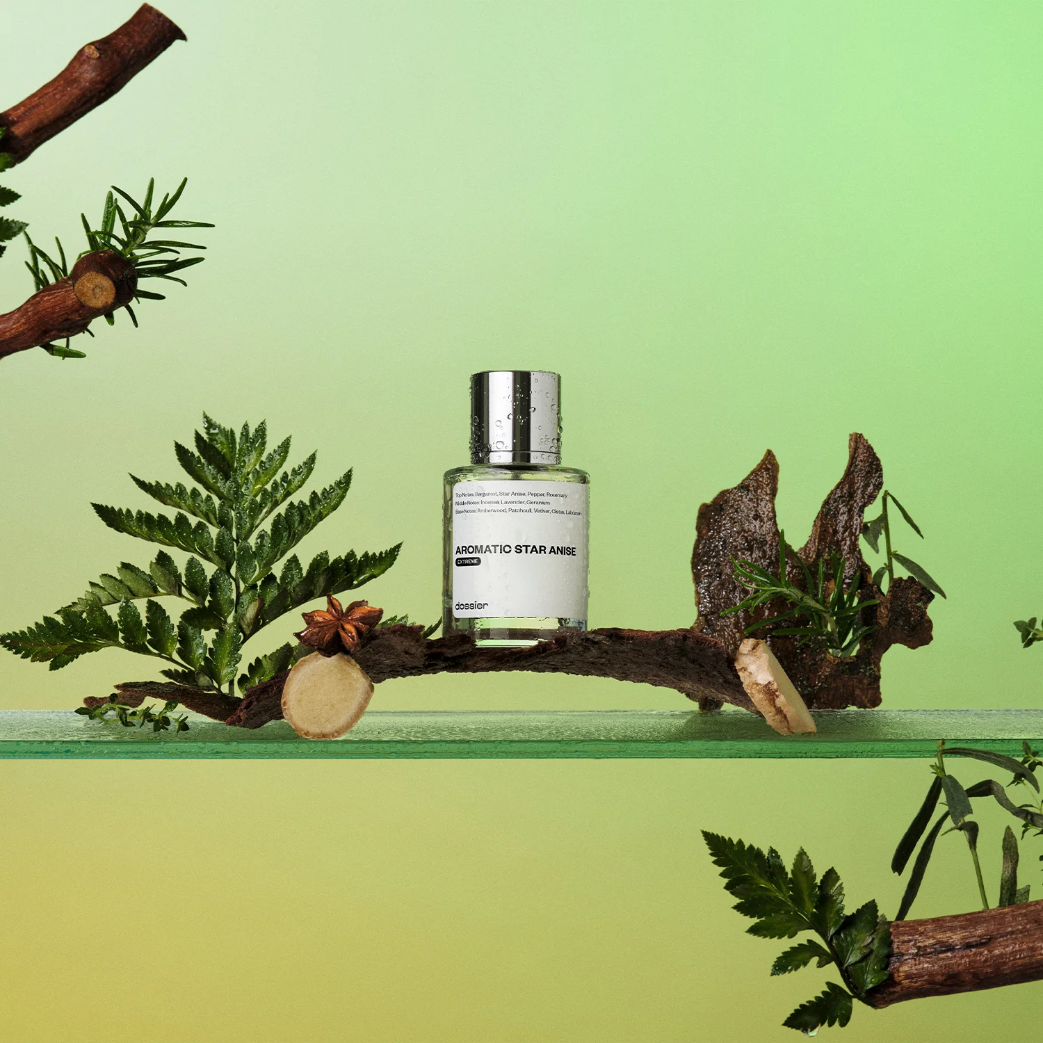 Aromatic Star Anise (Extreme) - Image 3