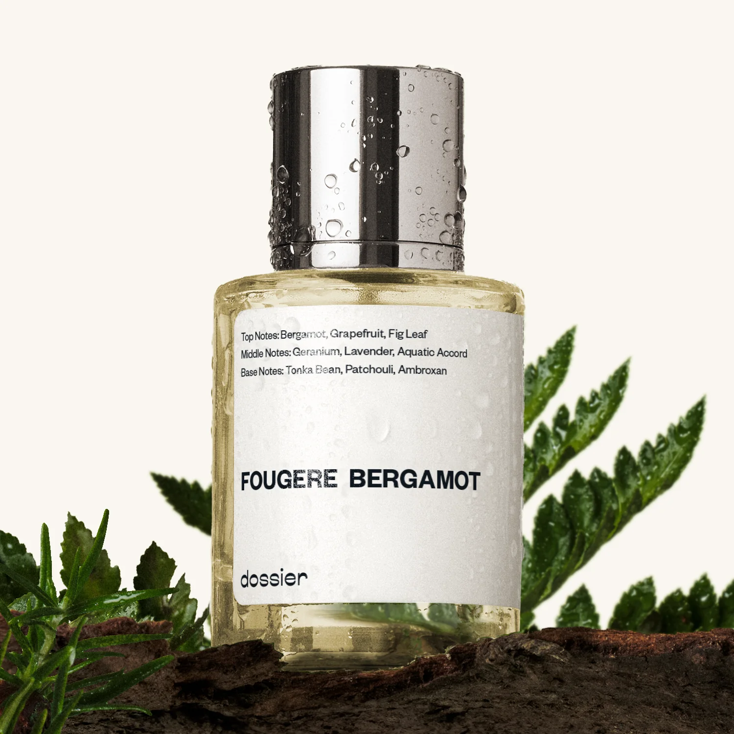 Fougere Bergamot - Image 2