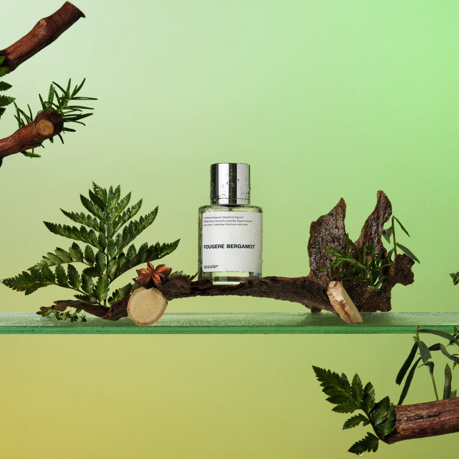 Fougere Bergamot - Image 3