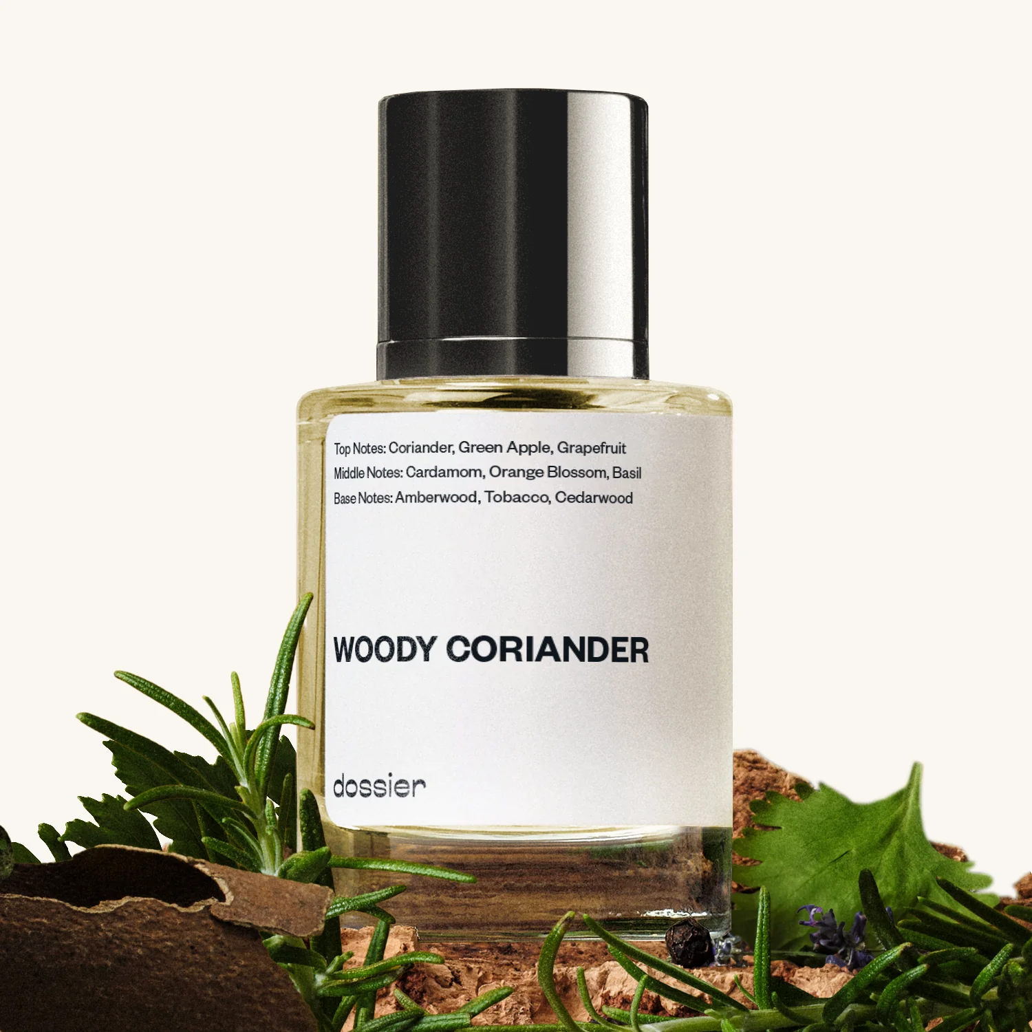 Woody Coriander - Image 2