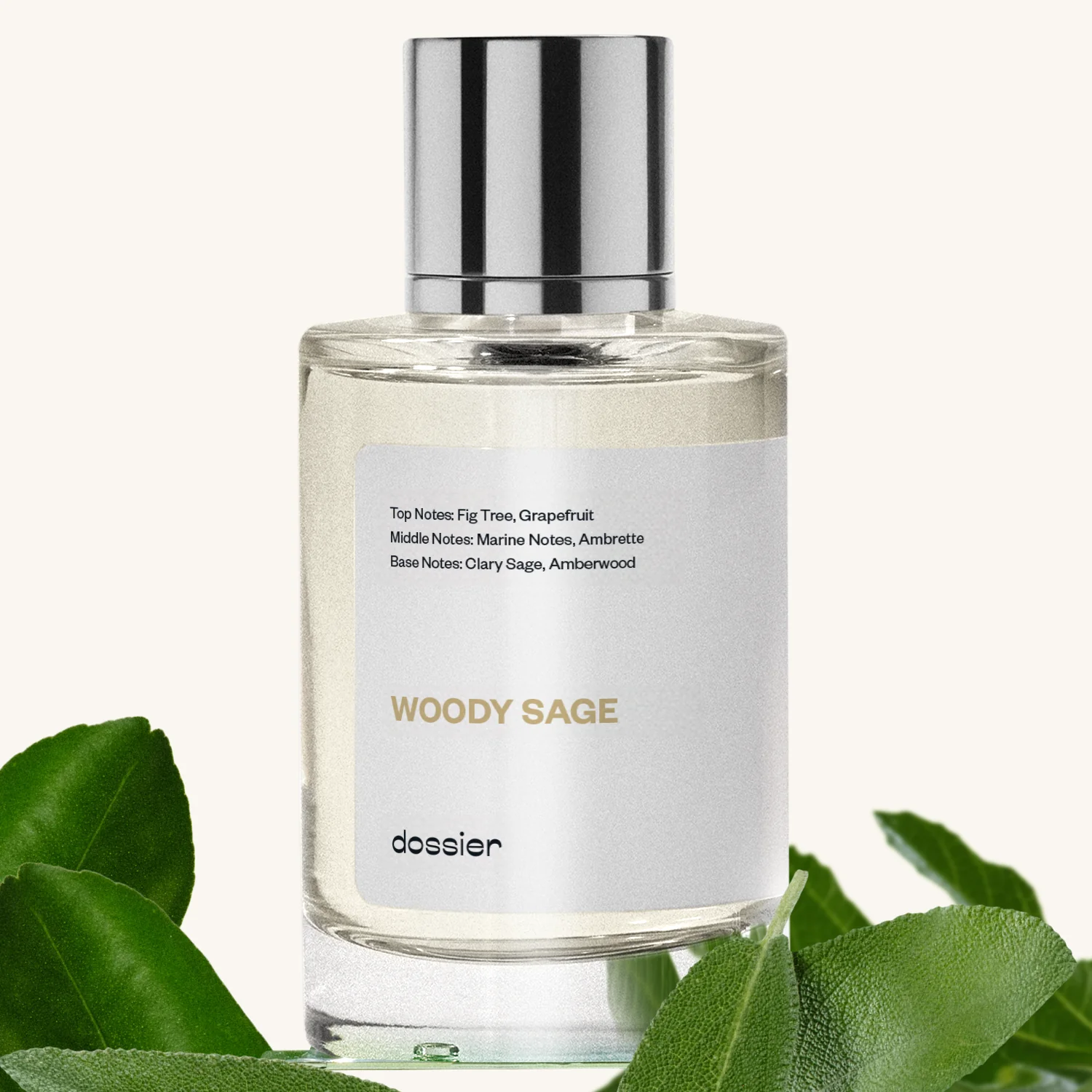 Woody Sage - Image 7