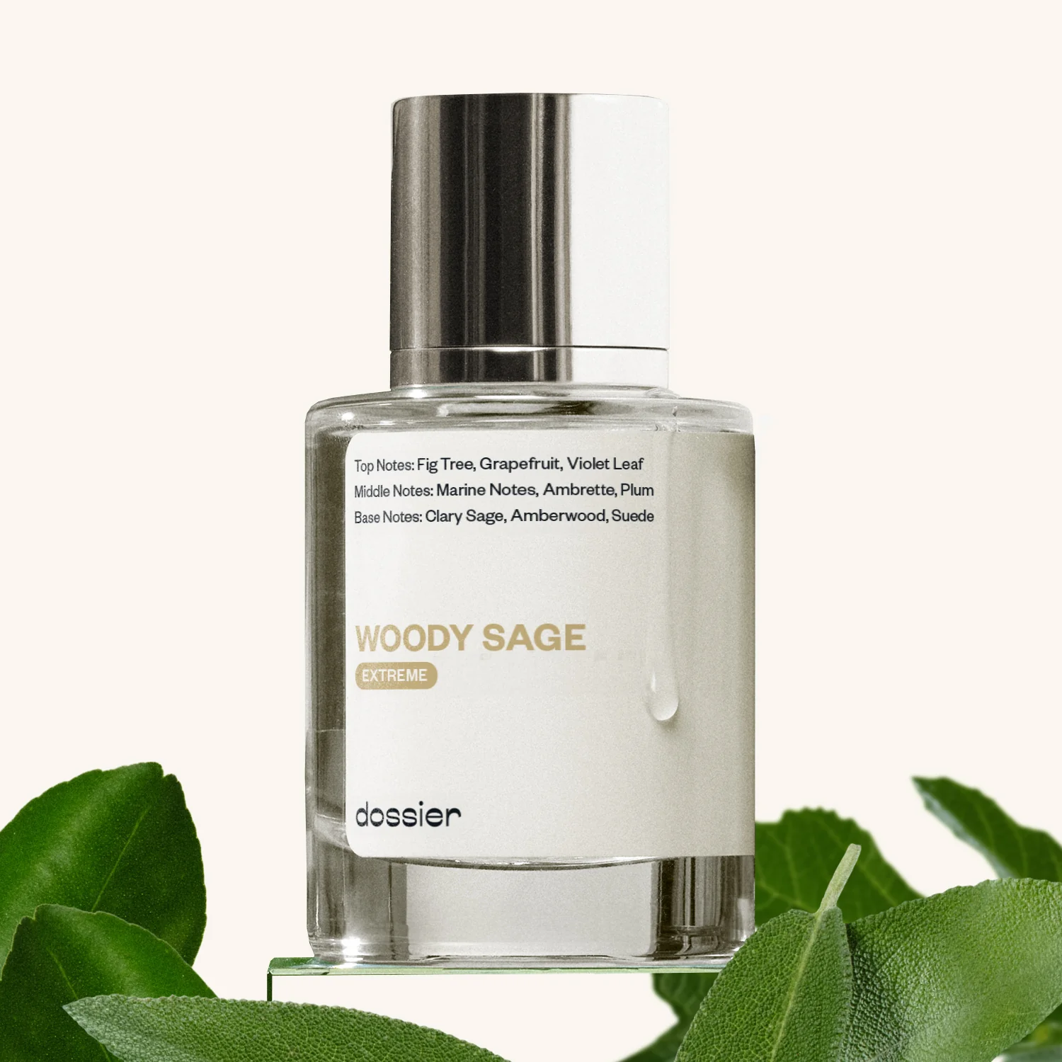 Woody Sage (Extreme) - Image 2